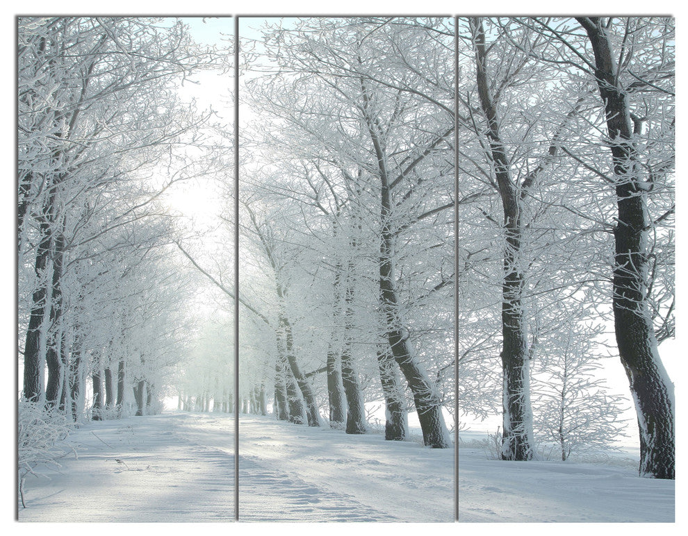 Winter Country Lane on Frosty Morning, Forest Canvas Art Print, 36x28, 3 Panels