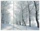 Winter Country Lane on Frosty Morning, Forest Canvas Art Print, 36x28, 3 Panels