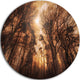 Picturesque Autumn Forest, Landscape Photo Disc Metal Wall Art, 36"