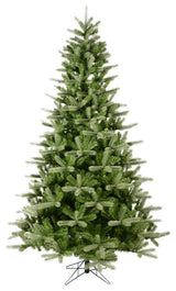 6.5' X 47" King Spruce 826T