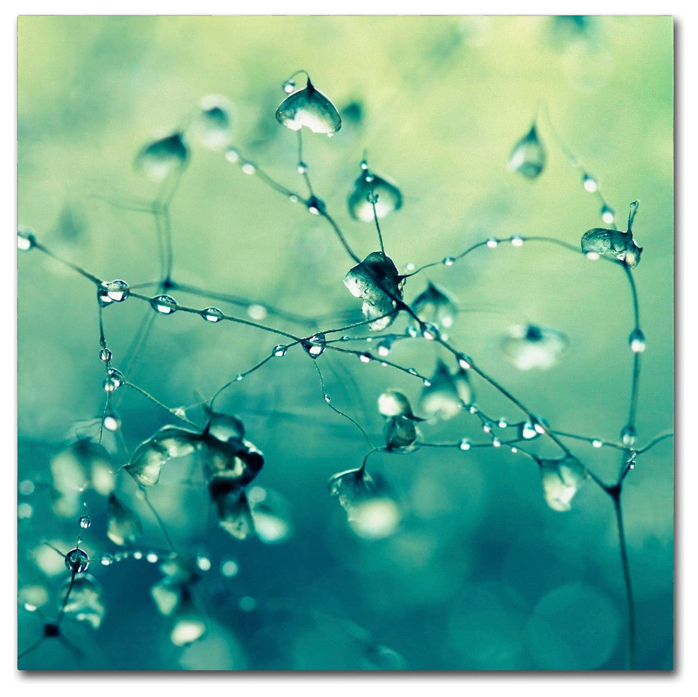 'Spring Notes' Canvas Art by Beata Czyzowska Young