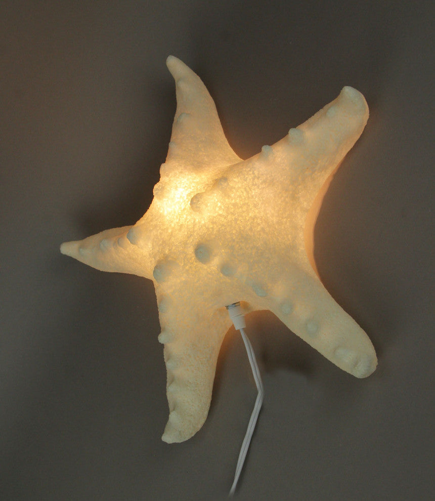 White Sandstone Finish Starfish Coastal Art Accent Lamp 16 inch
