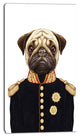 Funny Pug Dog in Military Uniform, Animal Canvas Art Print, 16"x32"