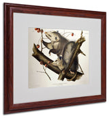 'Virginian Opossum' Matted Framed Canvas Art by John James Audubon