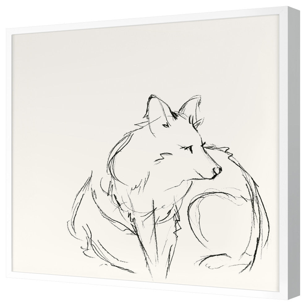 Fox Sketch 1 Fine Art Print, White, 30"x30"