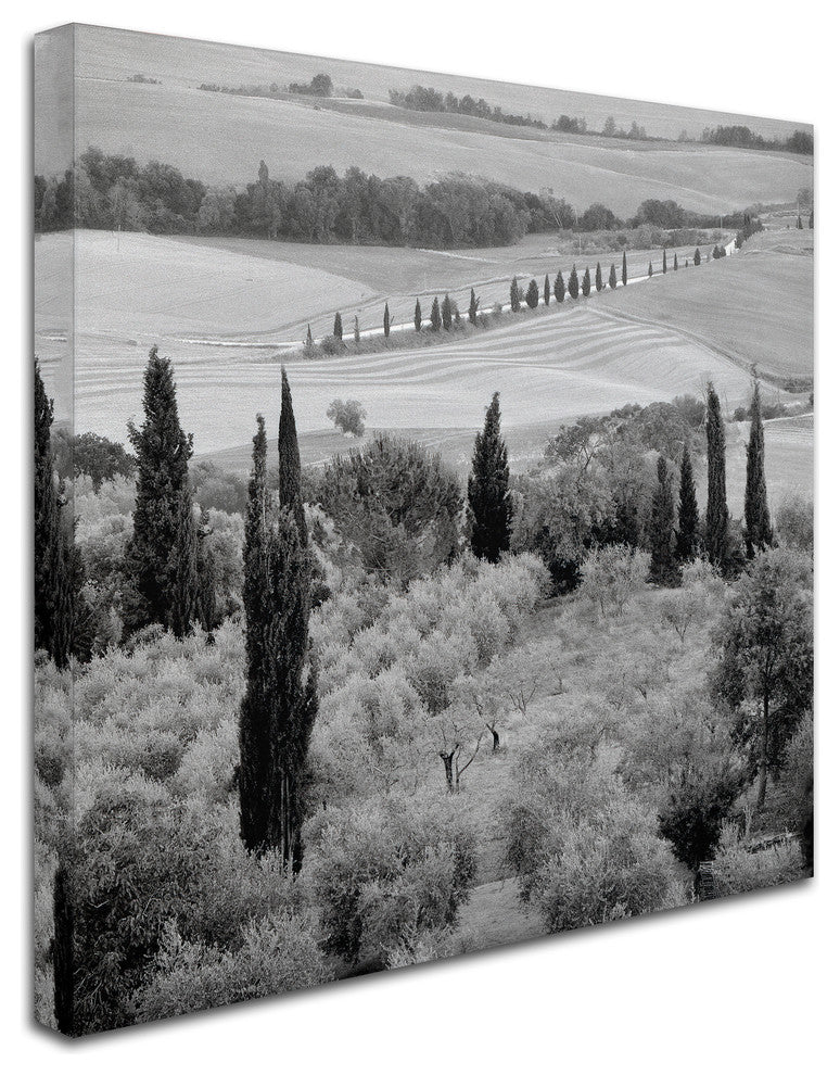Alan Blaustein ''Tuscany VI'' Canvas Art, 14x14
