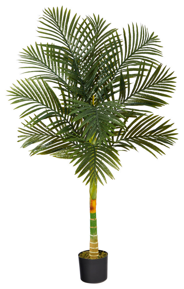 Full product photographed on a uniform white background; clear, unobstructed view of the entire item.