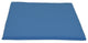 Poly Dining Seat Cushion, Light Blue