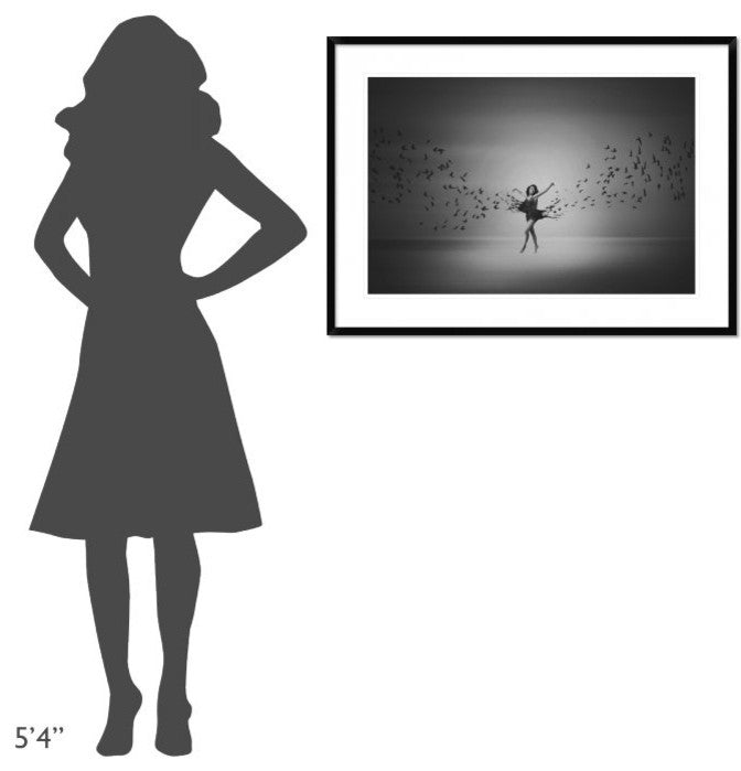 "Ballerina Flight Of Birds" Framed Digital Print by Mark Biwit, 38"x28"