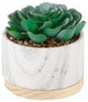 2-Piece Succulent, Marbel With Wood Base