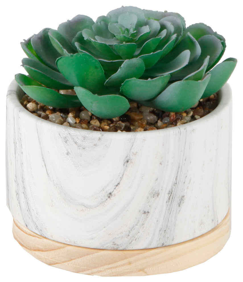 2-Piece Succulent, Marbel With Wood Base