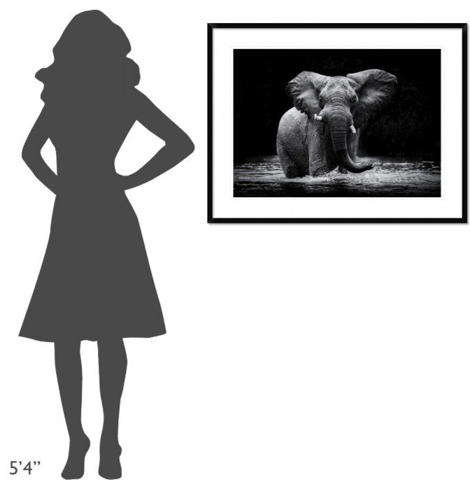 "Power 1" Framed Digital Print by Gorazd Golob, 38"x29"