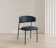 Lupita Vegan Leather Dining Chair, Set of 2, Black, Matte Black Finish