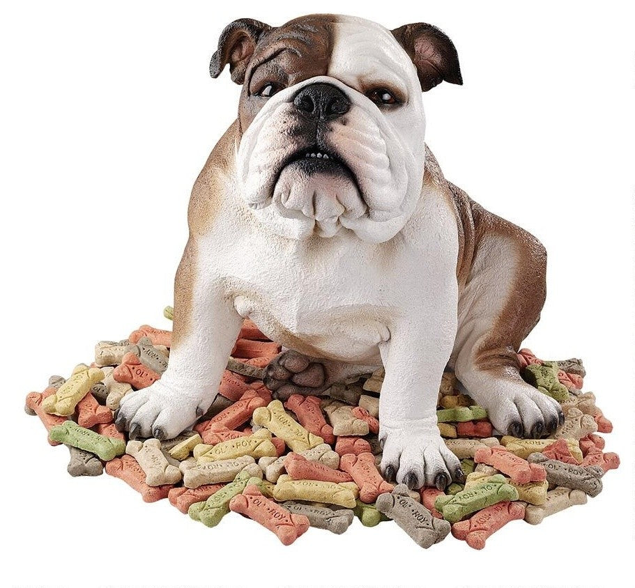 Buster The Bulldog