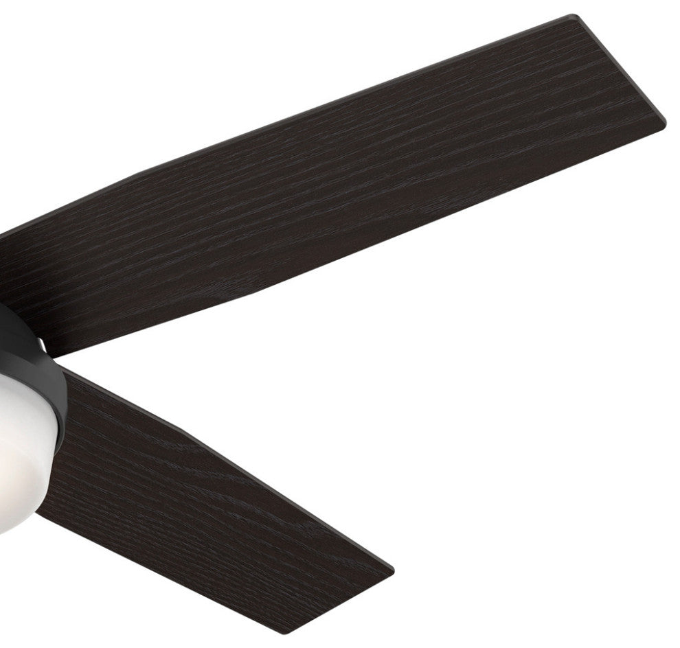 Hunter Fan Company 52" Dempsey Damp Matte Black Ceiling Fan With Light/Remote