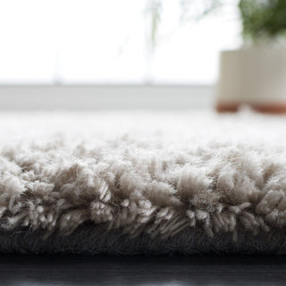 Safavieh Casablanca Collection CSB701F Rug, Grey, 8' x 10'