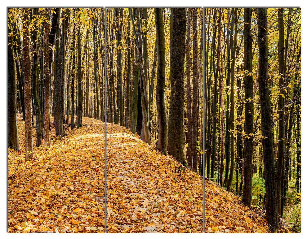 Dense Autumn Forest Woods, Modern Forest Triptych Canvas Art, 36x28, 3 Panels