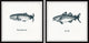 Salmon and Cod Diptych, 2-Piece Set, 32x32 Panels