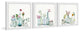 Floral Bottles Triptych, Set of 3, 32x32 Panels