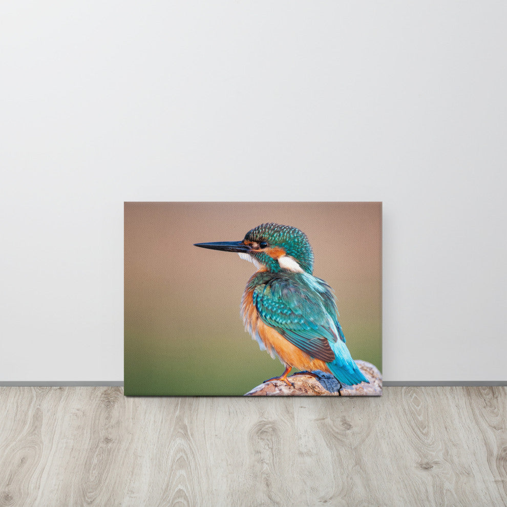 Common Kingfisher Bird on Perch Animal Wildlife Photograph Canvas Wall Art Print, 18" X 24"