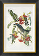 "Gray Tyrant" Framed Canvas Giclee by John James Audubon, 20x28"