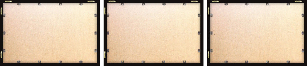 Sperm and Killer Whale Triptych, 3-Piece Set, 45x30 Panels