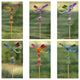 Set of 6 Acrylic Dragonfly Pot Stakes