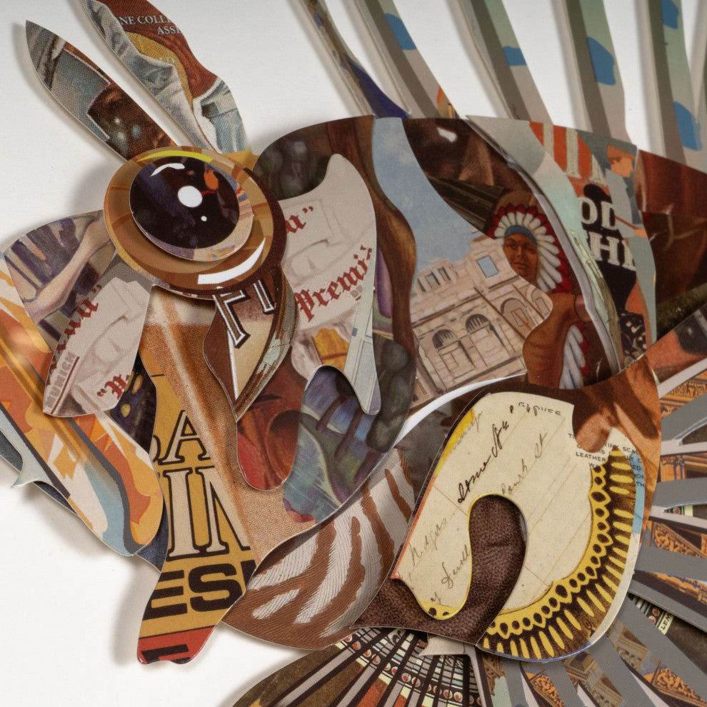 Aquatic Reverie, Shadow Box