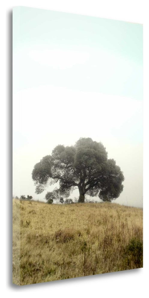 "Oak Tree - 52" By Alan Blaustein, Giclee Print on Gallery Wrap Canvas