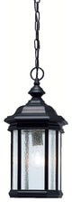Outdoor Pendant 1-Light, Black