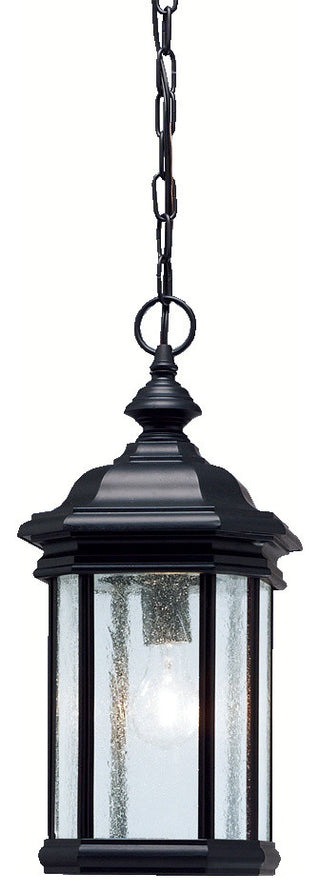 Outdoor Pendant 1-Light, Black