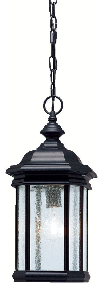 Outdoor Pendant 1-Light, Black