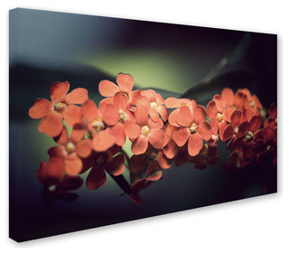'Flowers Waiting' Canvas Art by Philippe Sainte-Laudy