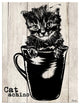 Ready2HangArt ''Catachino'' Wrapped Canvas Cat Wall Art, 40"x30"