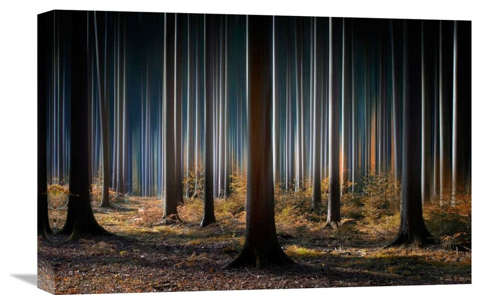 "Mystic Wood" Stretched Canvas Giclee by Carsten Meyerdierks, 22x15"