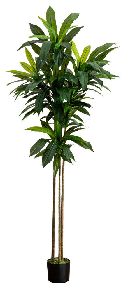 7ft. Artificial Dracaena Tree With Real Touch Leaves