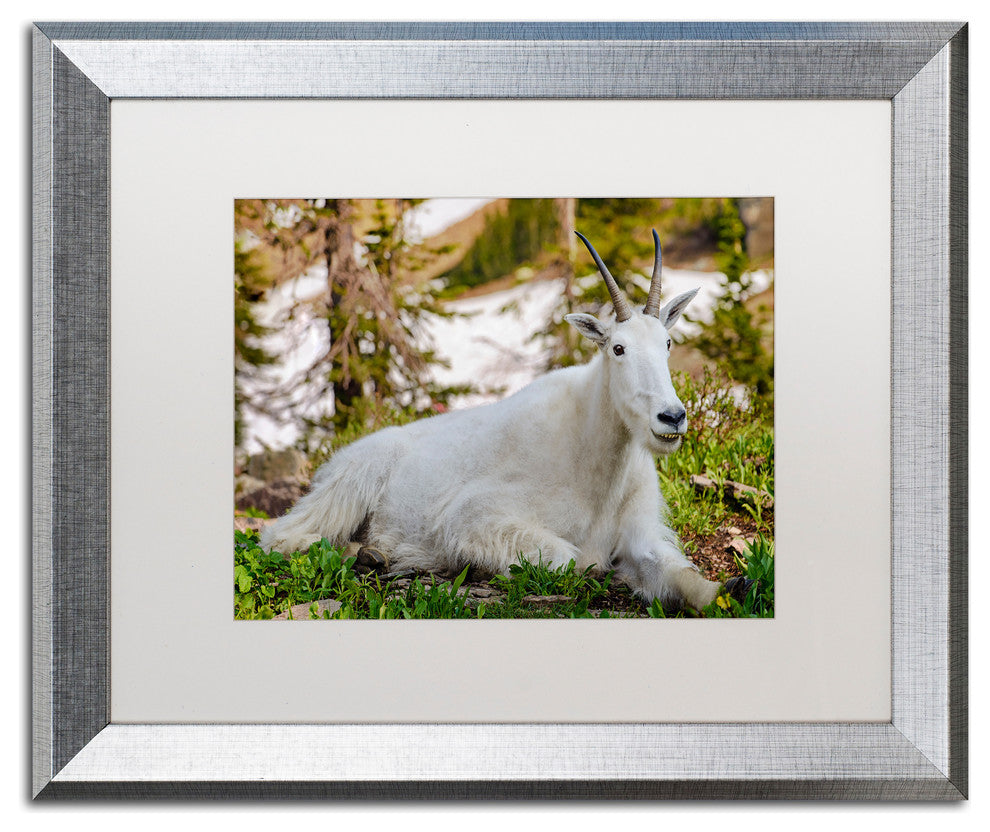Michael Blanchette 'Make Me Smile' Art, Silver Frame, White Mat, 20x16