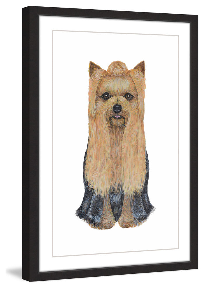 "Yorkshire Terrier" Framed Painting Print, 20"x30"