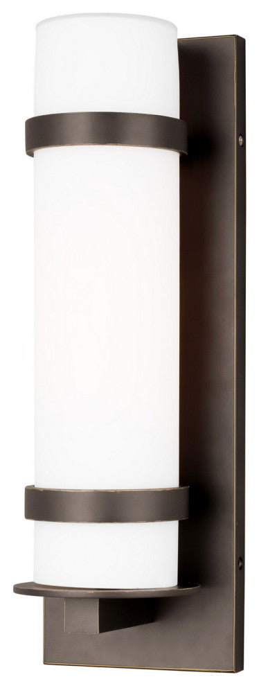 Antique Bronze One Light Outdoor Wall Lantern from the Alban Collection