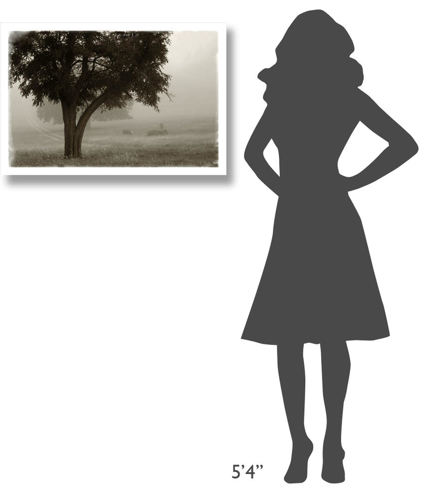 "Calm Mist no Limb" Digital Paper Print by Debra Van Swearingen, 32"x22"
