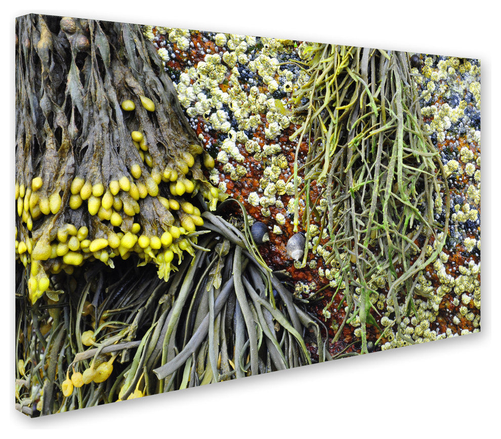 Nicole Dietz 'Latched' Canvas Art, 47x30