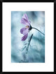 "Newtonian Physics" Framed Digital Print by Fabien Bravin, 20"x26"