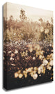 Golden Field by Design Fabrikken, Print on Canvas, 20"x28"