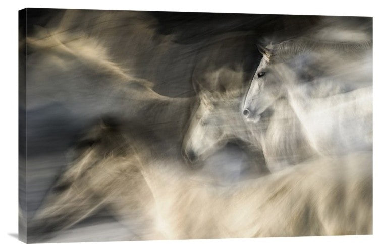 "In Motion" Stretched Canvas Giclee by Milan Malovrh, 24"x16"