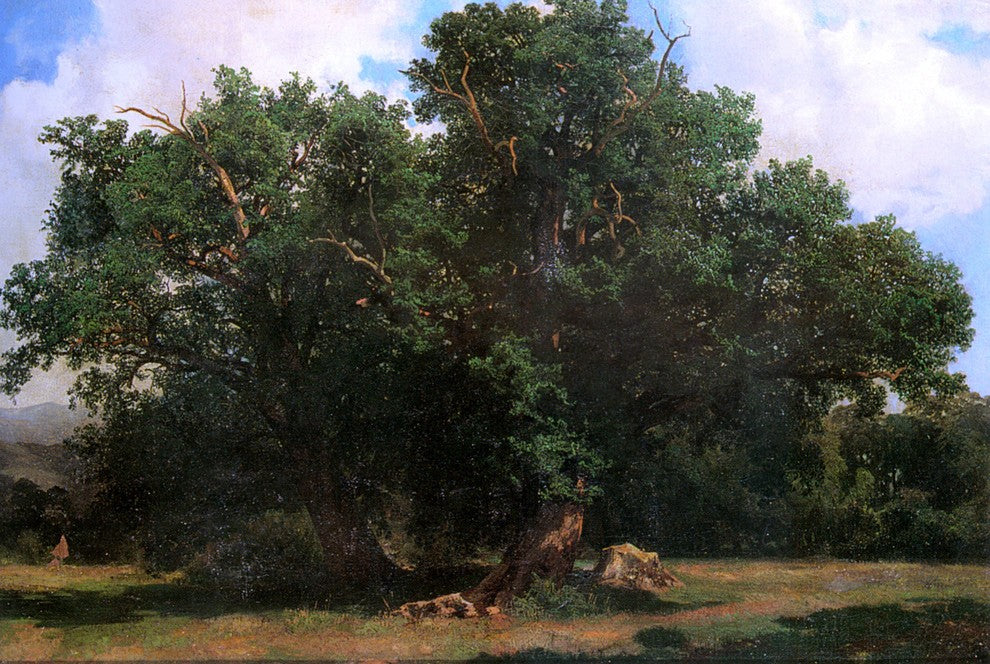 Johannes Bosboom Oak Trees, 18"x27" Wall Decal Print