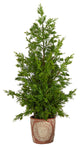 T3397 28 Cedar Pine Natural Look Artificial Tree in Decorative Planter