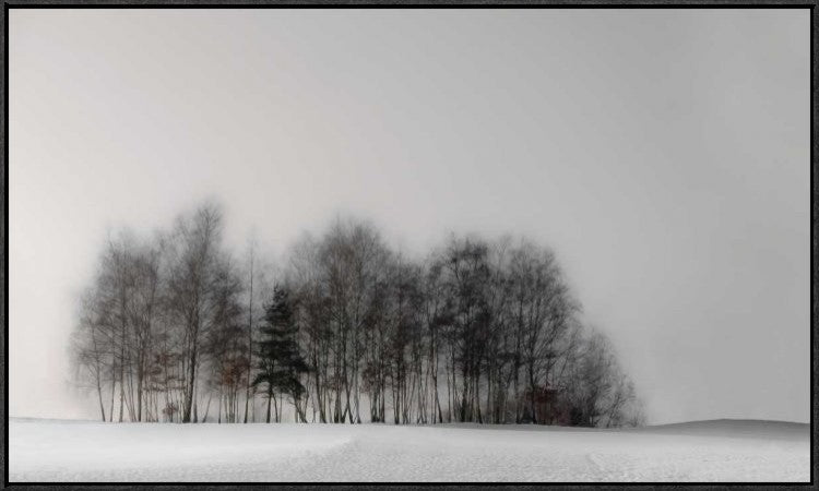 "Winter Forest" Framed Canvas Giclee by Gilbert Claes, 37x22"