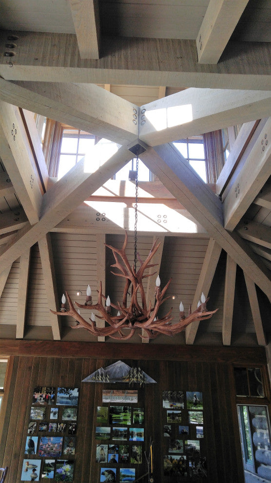 Reproduction Antler Elk Single Tier Chandelier Light, RL-12