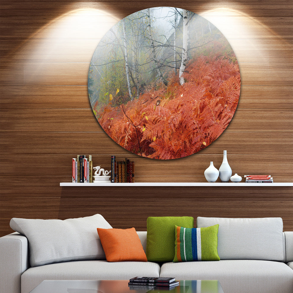 Red Fern In Foggy Fall Fay, Landscape Photo Disc Metal Wall Art, 36"