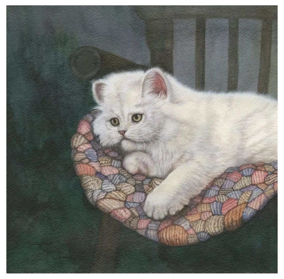 "Kitten on Chair" Digital Paper Print by Jacquie Vaux, 20"x20"